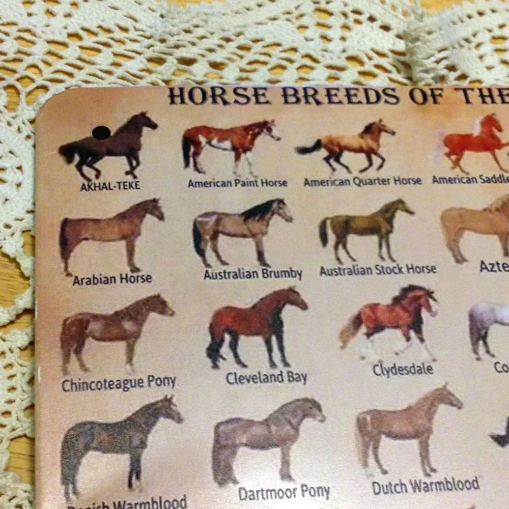 Equine types, sign showing different horse breeds